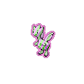 Exotic Togetic
